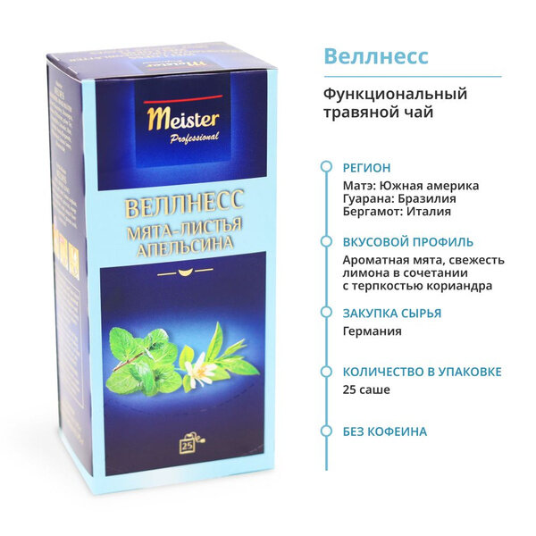 Чай Травяной Meister Professional ВЕЛЛНЕСС 25шт х 1,75гр