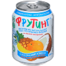 Напиток ФРУТИНГ Fruiting из сока тропических фруктов с кусочками кокоса и витамином С 238 мл